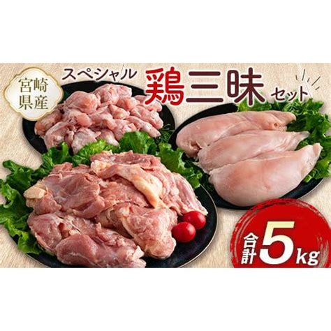 ふるさと納税 宮崎県 新富町 宮崎県産鶏肉 スペシャル鶏三昧セット 合計5kg【b607】 5798020ふるさとチョイス 通販