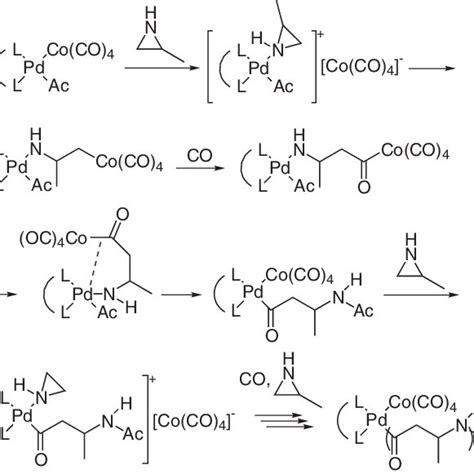 Scheme 1. A possible mechanism for copolymerization. | Download Scientific Diagram