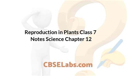 Reproduction In Plants Class 7 Notes Science Chapter 12 Cbse Labs