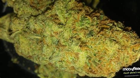 Marijuana Cotton Candy Strain Review - Leaf Expert