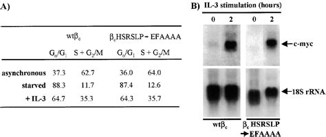 Site Specific Serine Phosphorylation Of The Il 3 Receptor Is Required