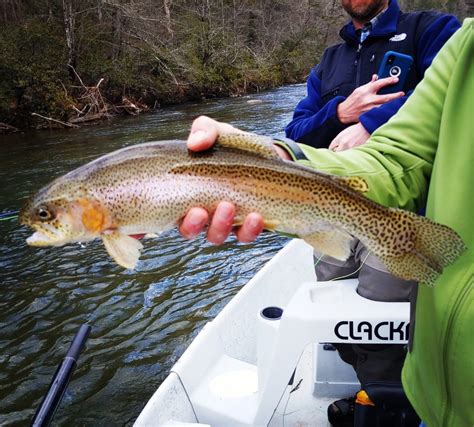 The Best Trout Fishing Spots In North Georgia Toccoa River Anglers