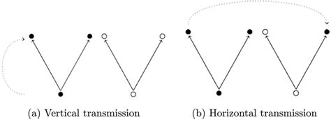 Vertical and horizontal modes of transmission. a Vertical transmission ...