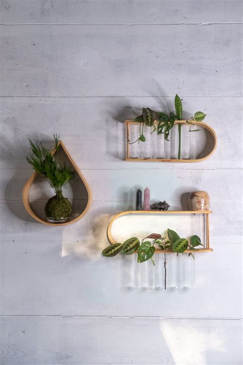 Propagation Station With Tubes Wall Mounted Propagation - Etsy