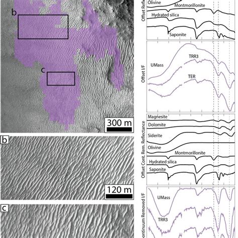 Carbonate And Phyllosilicatebearing Aeolian Bedforms Proximal To