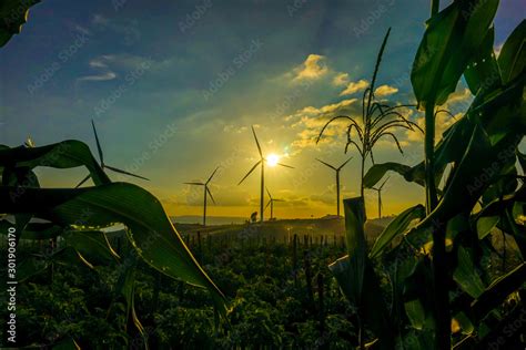 Wind turbine farm from clean energy. Wind power for electricity. Stock Photo | Adobe Stock