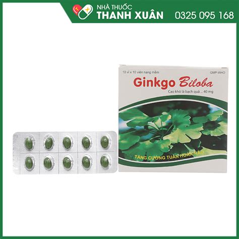 Thuốc Ginkgo Biloba điều Trị Rối Loạn Mạch Máu Não