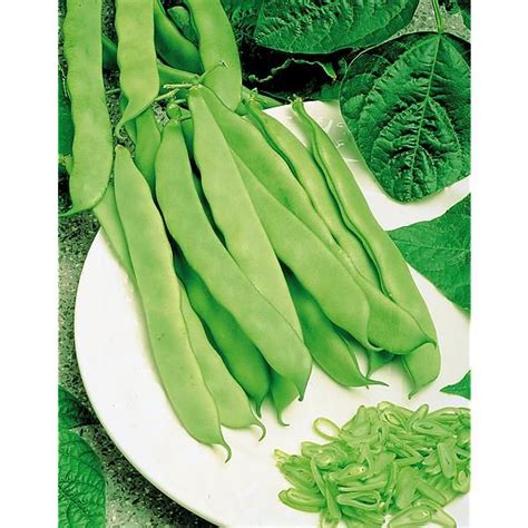 Haricot Nain Filet Mangetout Soliman Graines Baumaux