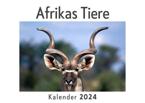 Afrikas Tiere Wandkalender 2024 Kalender DIN A4 Quer Monatskalender