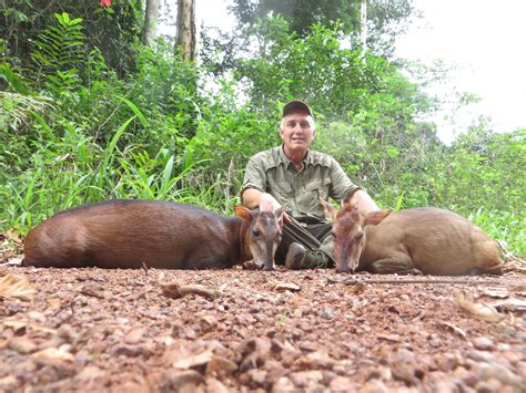 Hunting in Cameroon forest - Fauna Safari Club | Voyages de chasse