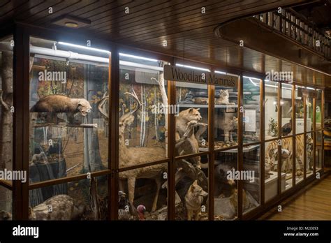 Fairbanks Museum And Planetarium St Johnsbury Vt Stock Photo Alamy