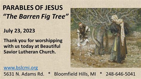 July 23 2023 The Parables Of Jesus The Barren Fig Tree