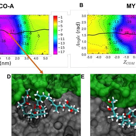 2D Free Energy Profiles Of The Permeation Of A Mycolactone A And B