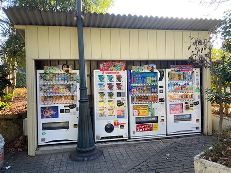 宇都宮市睦町にオアシス発見！お散歩にもおすすめな「栃木県中央公園」 東海住宅タウンガイド