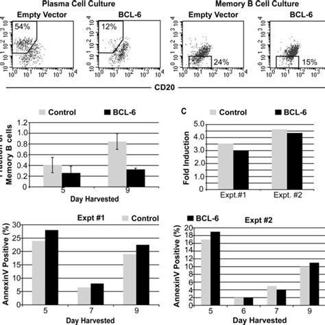 Ectopic Expression Of Bcl 6 Represses Memory B Cell Differentiation In Download Scientific