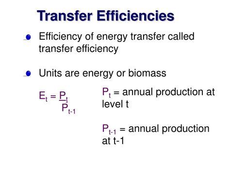 Ppt Energy Flow And Nutrient Cycle Powerpoint Presentation Free Download Id 2910086