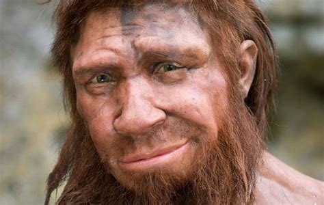 Reconstruction Of A Neanderthal Man By Alfons And Adrie Kennis At The