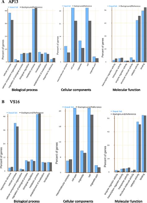 Functional Category Of Gene Ontology GO Of AP13 And K5 A And VS16