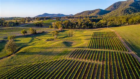 A Guide To Hunter Valley Wine Tasting And Tours