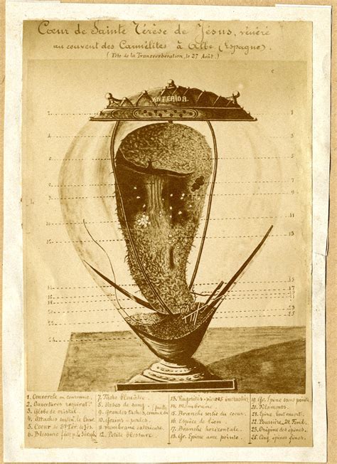 An eternal heart. The cardiac phenomena of St Teresa of Ávila