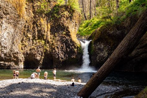 25+ EPIC Hikes Near Portland That Prove We Live in Paradise