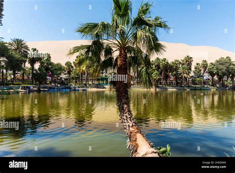 Zona De Conservaci N Regional Laguna De Huacachina Ica Per