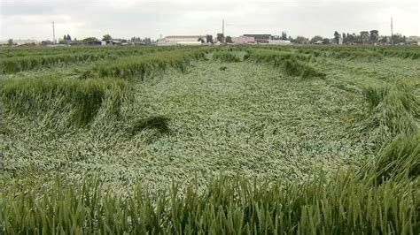 Valley Farmers See Damage To Crops Amid Recent Storms Abc30 Fresno