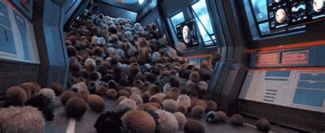 Tribbles GIFs - Find & Share on GIPHY