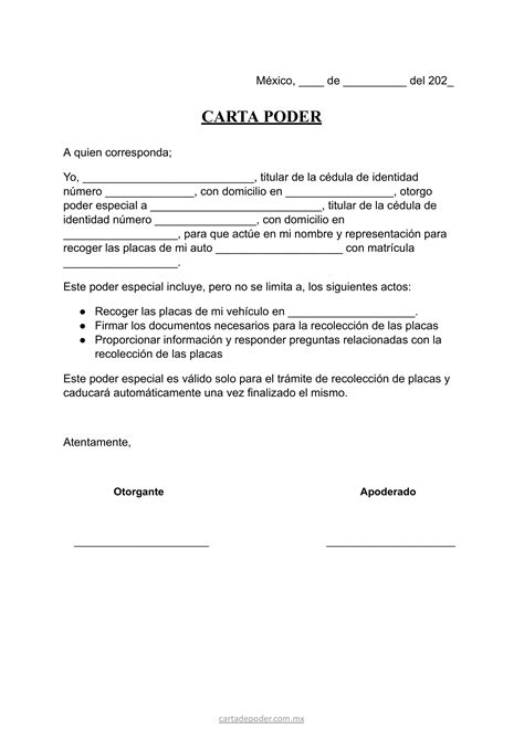 Carta Poder Para Recoger Placas Formato Word Pdf The Best Porn Website