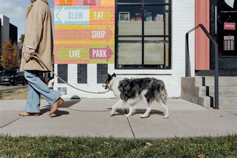 Move to Maven | Neighborhood Feature & Gift Guide