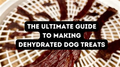 Dehydrated Dog Treats: Your Ultimate Guide to Making Treats and Chews!