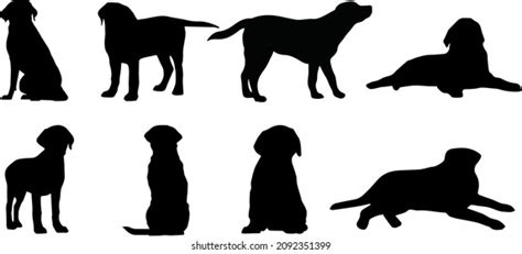 Labrador Retriever Dog Silhouette Bundle Svg Stock Vector (Royalty Free ...