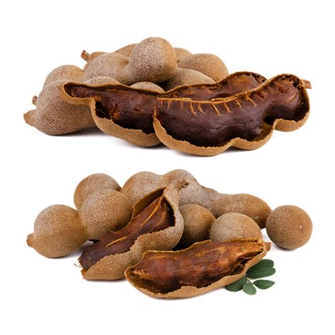 80 Free Tamarind Nature Images Pixabay