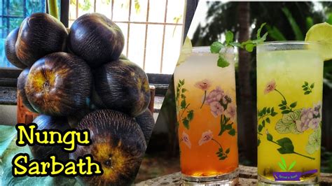 Nungu Sarbath Palm Fruit Sarbath நுங்கு சர்பத் Nungu Sherbet Ice Apple Sarbat Nungu