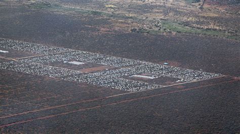 Kenya Delays Closing Worlds Largest Refugee Camp For 6 Months The