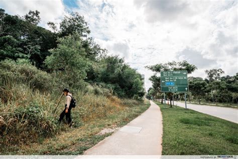 Guide To Exploring The Abandoned Bukit Batok Hillside Park