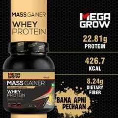 Buy Megagrow Kg Banana Flavour Mass Gainer High Calories Formula Whey