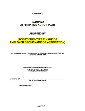 Sample Affirmative Action Plan Fill Online Printable Fillable