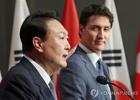 尹大統領 きょうカナダ首相と首脳会談 聯合ニュース