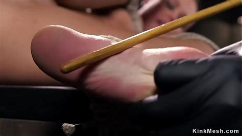 Hogtied Anal Search XVIDEOS