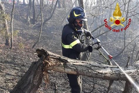 Provoca Incendio Di Bosco 58enne Denunciata