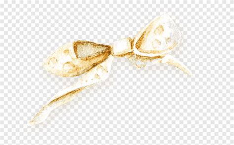 Shoelace Knot Bow Tie Painted Bowknot Watercolor Painting Ribbon Png