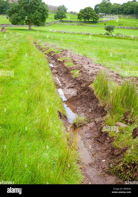 Drainage channel cut into low lying farmland, North Wales, UK Stock ...