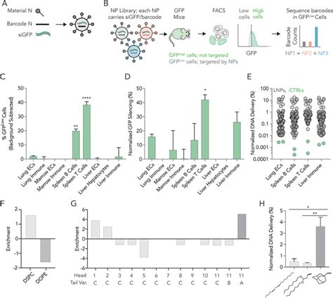 A high‐throughput siRNA screen for in vivo activity reveals that LNPs ... 