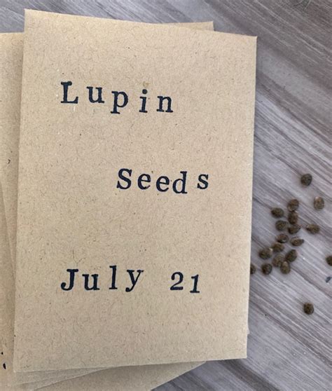 Lupin Seeds – Lifestyle Notes