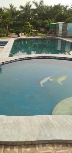 Swimming Pool Construction Service At Rs 1200 Square Feet Swimming