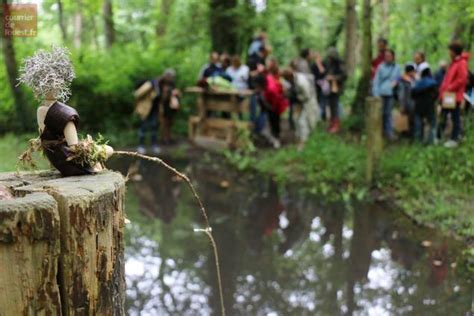 Le Lion DAngers Histoire De Se Balader Au Parc De LIsle Briand