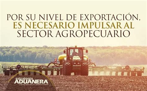 Por su nivel de exportación es necesario impulsar al sector