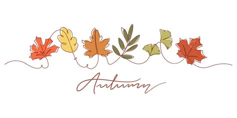 One Line Drawing Of Autumn Leaf Drawn Continuous Drawing Png And