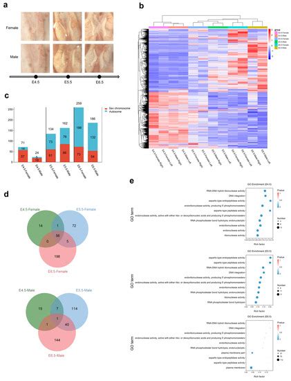 Ijms Free Full Text Gene Expression Profiling Reveals Potential